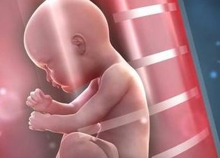 广东省妇幼做试管总花费多少钱？