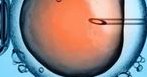 绝经的女人还可以做试管婴儿吗？