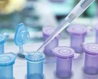 沈阳盛京医院试管婴儿医生那个好(沈阳盛京医院三代试管婴儿费用多少)