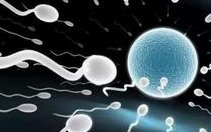 试管婴儿的利弊探讨及实施条件分析