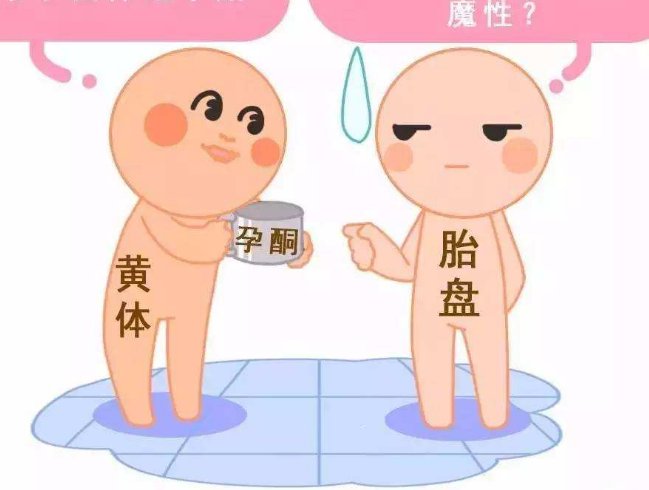 男性精子畸形率高，能否做试管婴儿