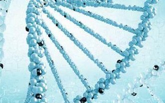 呼和浩特三代试管助孕机构排名，呼和浩特三代试管助孕价格